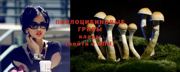 спиды Аркадак
