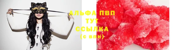 спиды Аркадак