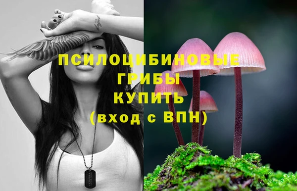 спиды Аркадак
